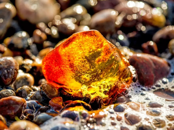 أرض الكهرمان “يانتارني”