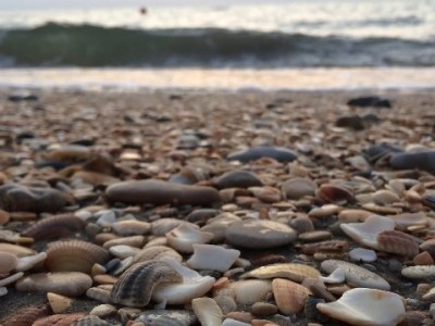 المنتجعات الروسية على بحر قزوين